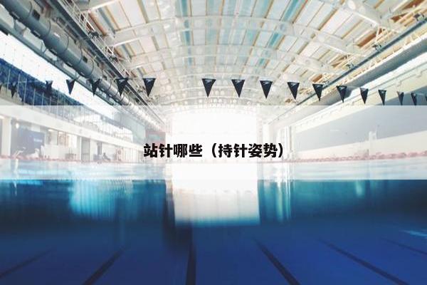 站针哪些（持针姿势）