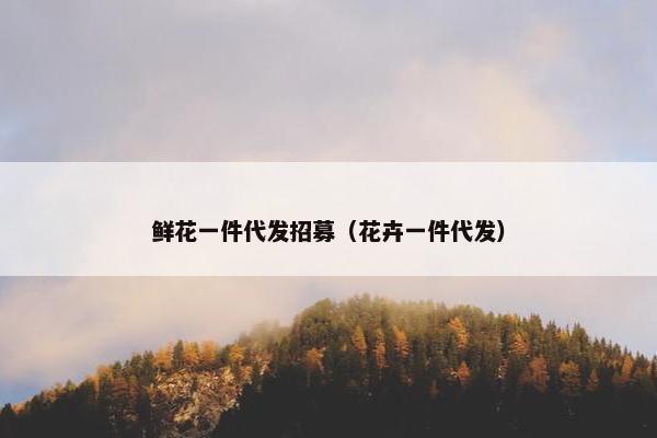 鲜花一件代发招募（花卉一件代发）