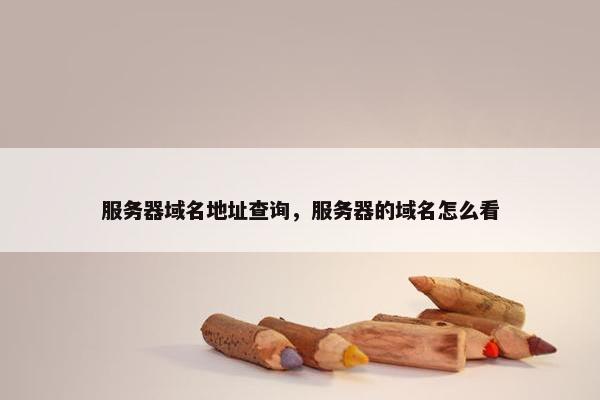服务器域名地址查询，服务器的域名怎么看
