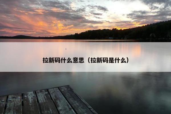 拉新码什么意思（拉新码是什么）