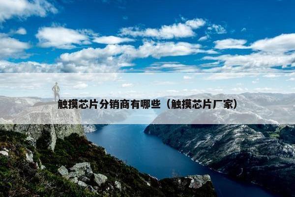 触摸芯片分销商有哪些（触摸芯片厂家）