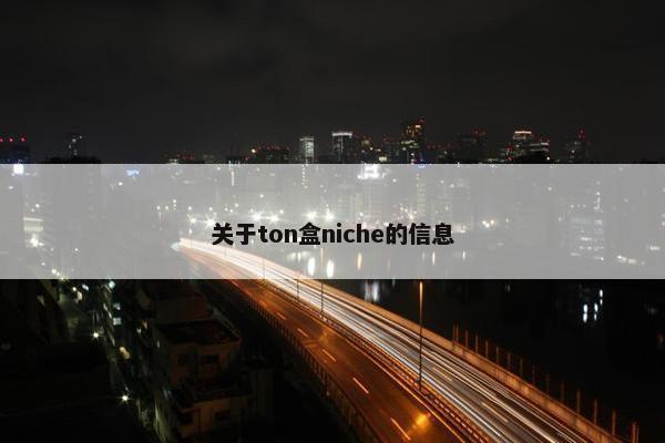 关于ton盒niche的信息