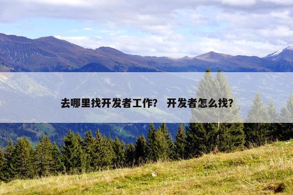 去哪里找开发者工作？ 开发者怎么找？