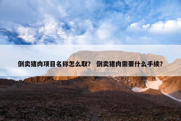 倒卖猪肉项目名称怎么取？ 倒卖猪肉需要什么手续？