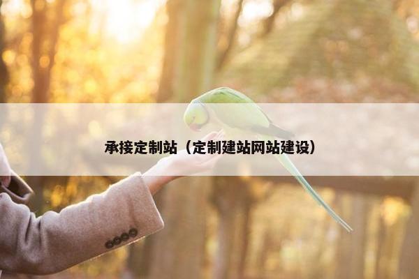 承接定制站（定制建站网站建设）