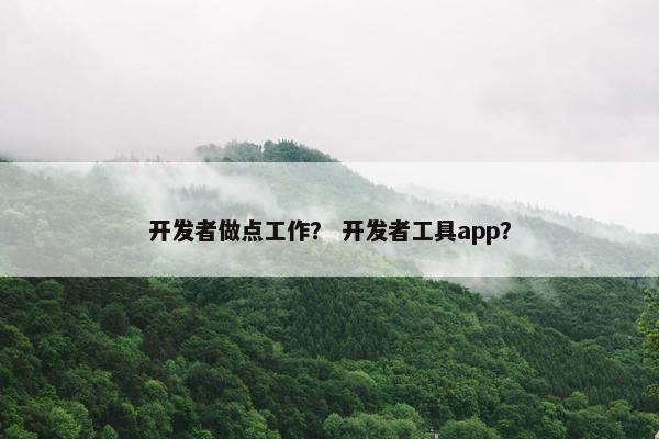 开发者做点工作？ 开发者工具app？