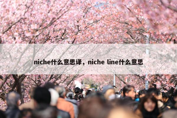 niche什么意思译，niche line什么意思