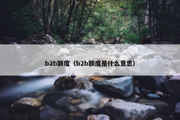 b2b额度（b2b额度是什么意思）