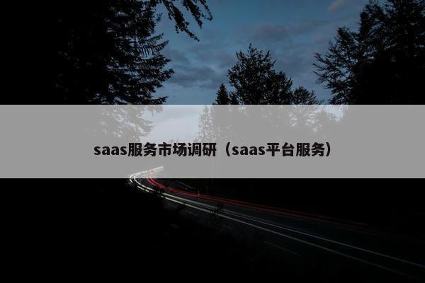saas服务市场调研（saas平台服务）