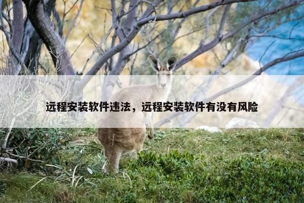 远程安装软件违法，远程安装软件有没有风险