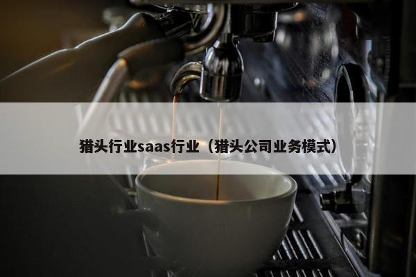 猎头行业saas行业（猎头公司业务模式）