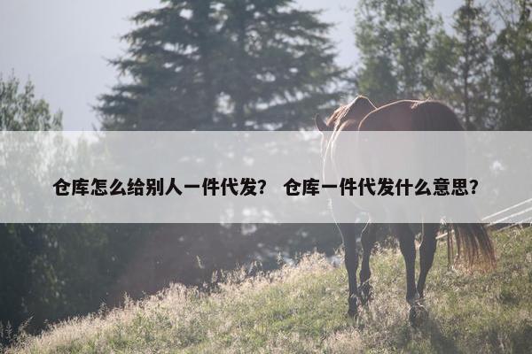 仓库怎么给别人一件代发？ 仓库一件代发什么意思？