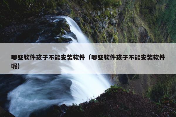 哪些软件孩子不能安装软件（哪些软件孩子不能安装软件呢）
