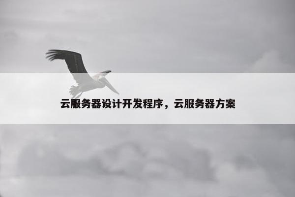 云服务器设计开发程序，云服务器方案