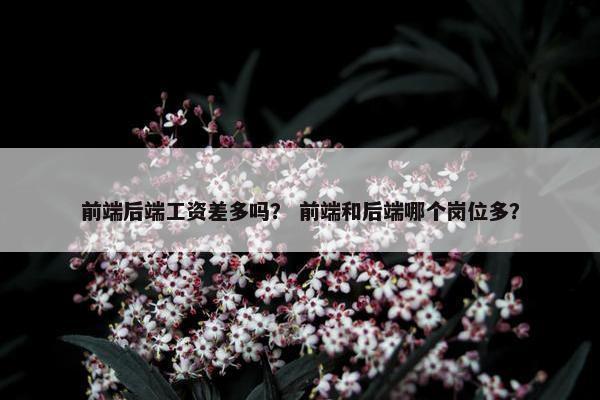 前端后端工资差多吗？ 前端和后端哪个岗位多？