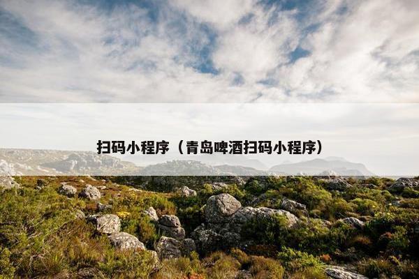 扫码小程序（青岛啤酒扫码小程序）