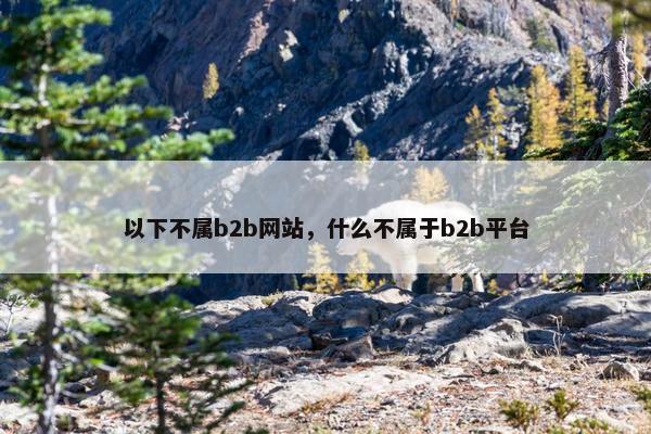 以下不属b2b网站，什么不属于b2b平台