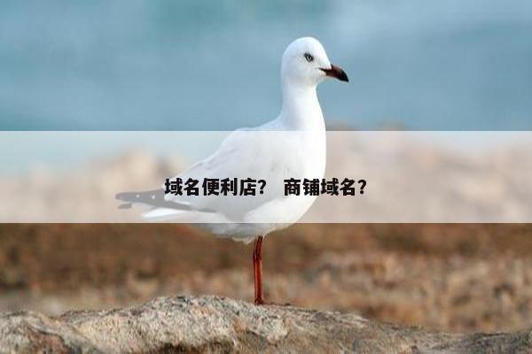 域名便利店？ 商铺域名？