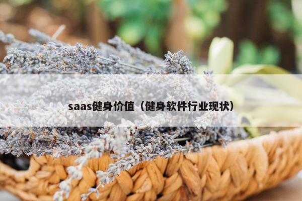 saas健身价值（健身软件行业现状）
