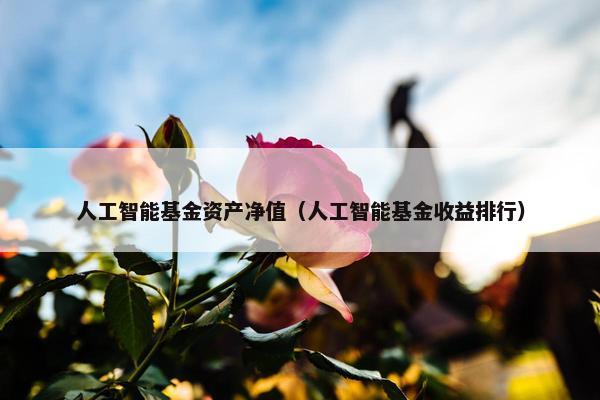 人工智能基金资产净值（人工智能基金收益排行）