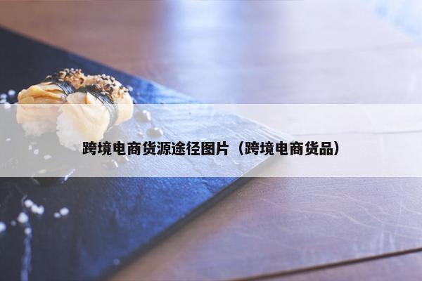 跨境电商货源途径图片（跨境电商货品）