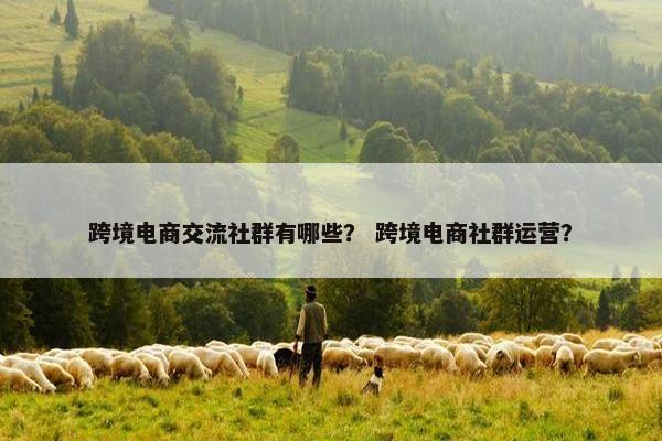 跨境电商交流社群有哪些？ 跨境电商社群运营？
