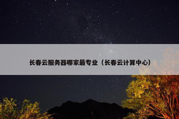 长春云服务器哪家最专业（长春云计算中心）