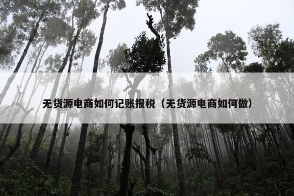无货源电商如何记账报税（无货源电商如何做）