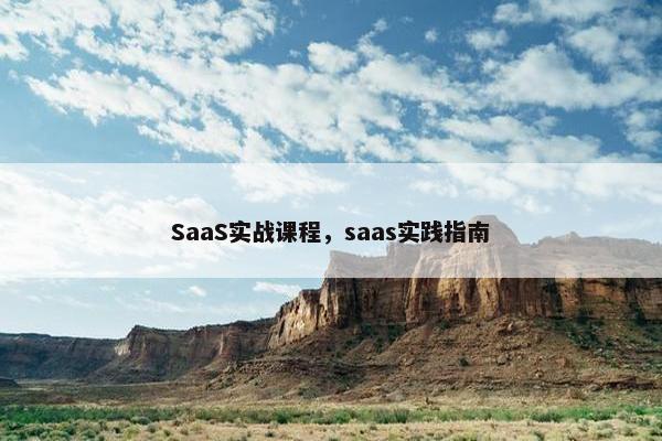 SaaS实战课程，saas实践指南
