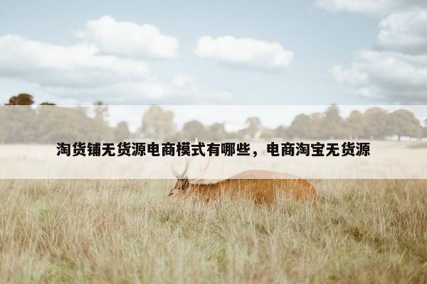 淘货铺无货源电商模式有哪些，电商淘宝无货源