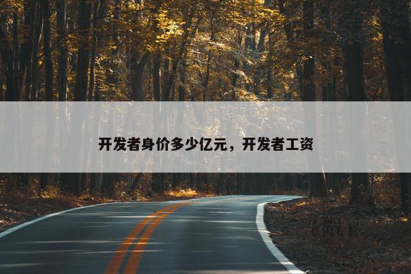 开发者身价多少亿元，开发者工资