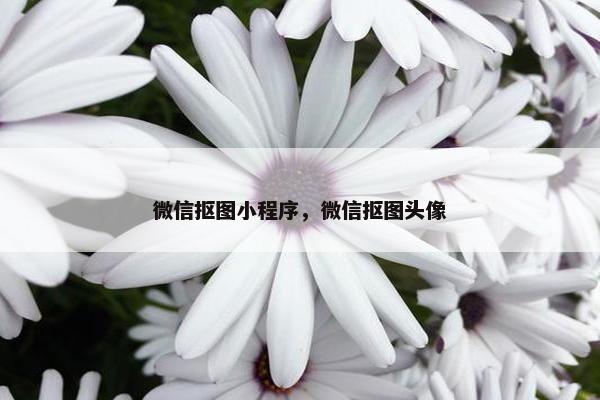 微信抠图小程序，微信抠图头像
