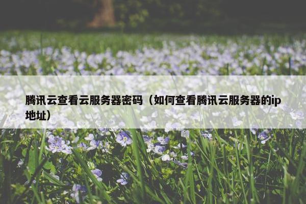 腾讯云查看云服务器密码（如何查看腾讯云服务器的ip地址）