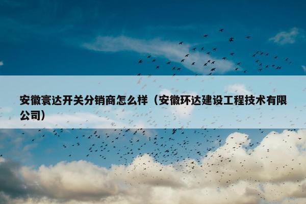 安徽寰达开关分销商怎么样（安徽环达建设工程技术有限公司）