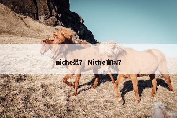 niche范？ Niche官网？