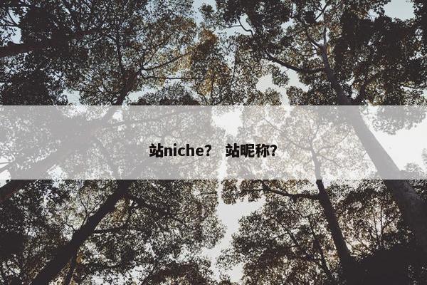 站niche？ 站昵称？