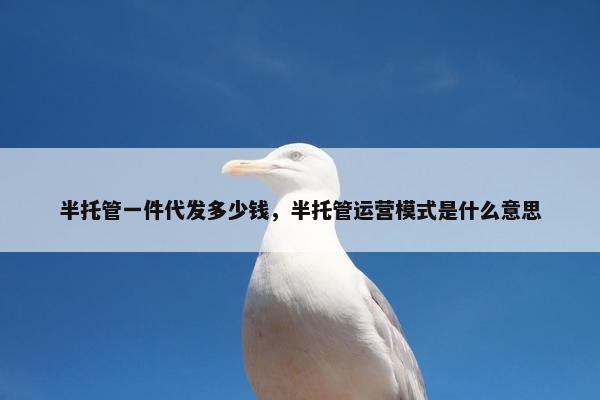 半托管一件代发多少钱，半托管运营模式是什么意思