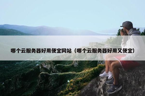 哪个云服务器好用便宜网站（哪个云服务器好用又便宜）