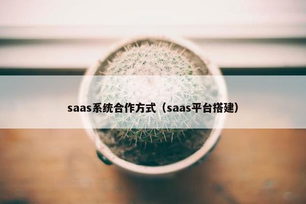 saas系统合作方式（saas平台搭建）
