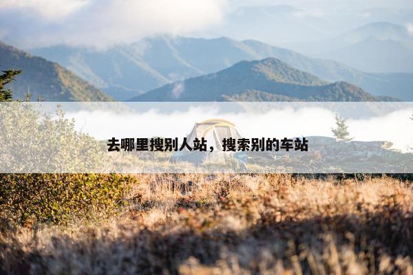 去哪里搜别人站，搜索别的车站