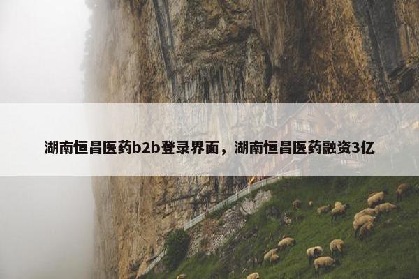 湖南恒昌医药b2b登录界面，湖南恒昌医药融资3亿