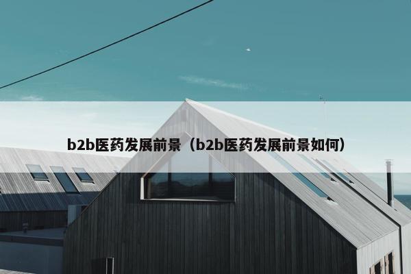 b2b医药发展前景（b2b医药发展前景如何）