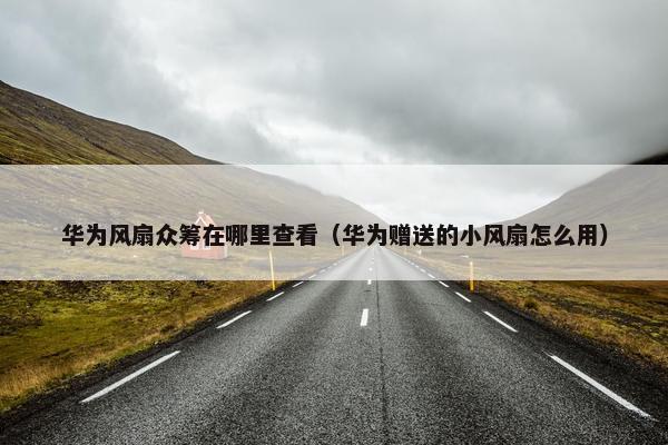 华为风扇众筹在哪里查看（华为赠送的小风扇怎么用）