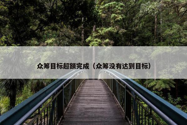 众筹目标超额完成（众筹没有达到目标）