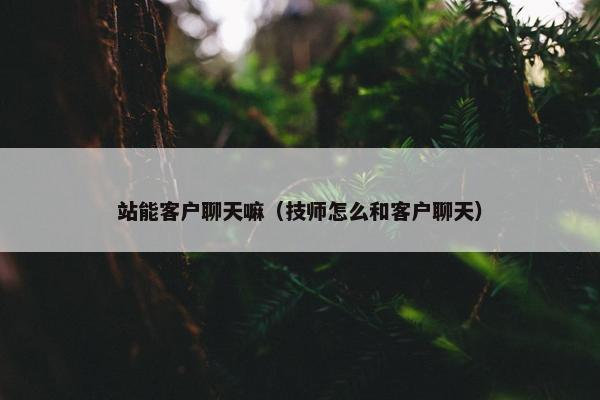 站能客户聊天嘛（技师怎么和客户聊天）
