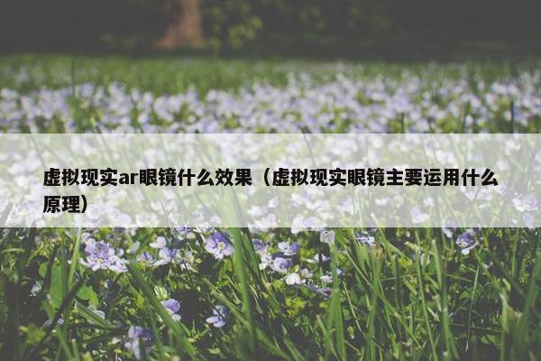 虚拟现实ar眼镜什么效果（虚拟现实眼镜主要运用什么原理）
