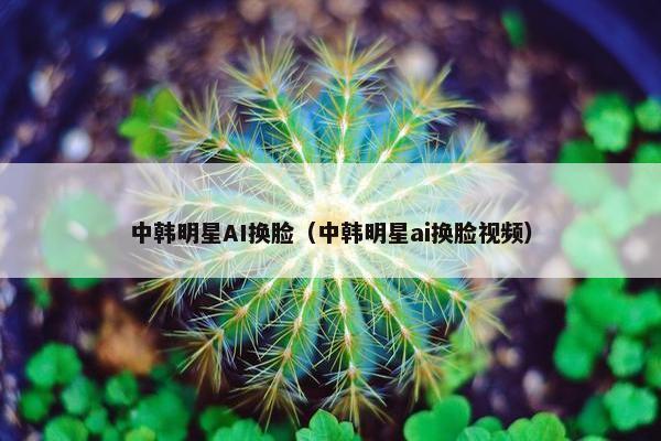中韩明星AI换脸（中韩明星ai换脸视频）
