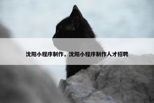 沈阳小程序制作，沈阳小程序制作人才招聘