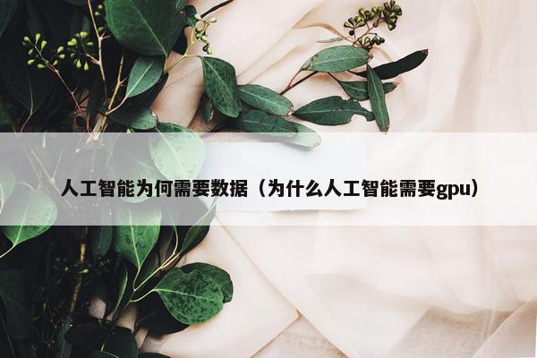 人工智能为何需要数据（为什么人工智能需要gpu）