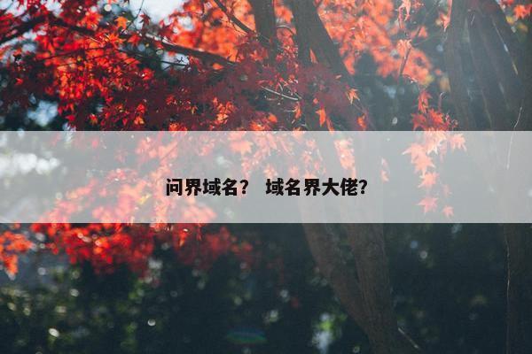 问界域名？ 域名界大佬？